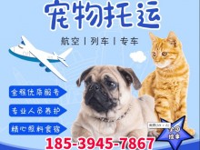 武汉市宠物拖运，武汉24小时宠物托运，提供全国宠物托运服务