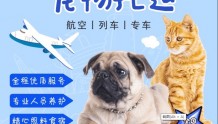 南京市宠物拖运服务，南京托运宠物，提供全国宠物托运服务