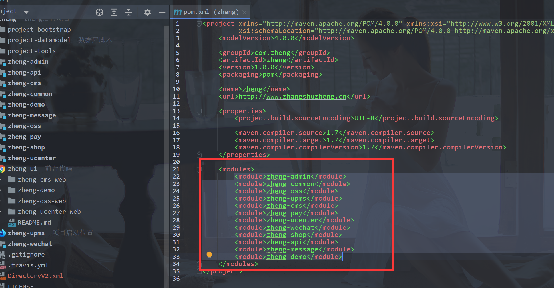 2022最新IntellJ IDEA的zheng开发部署文档