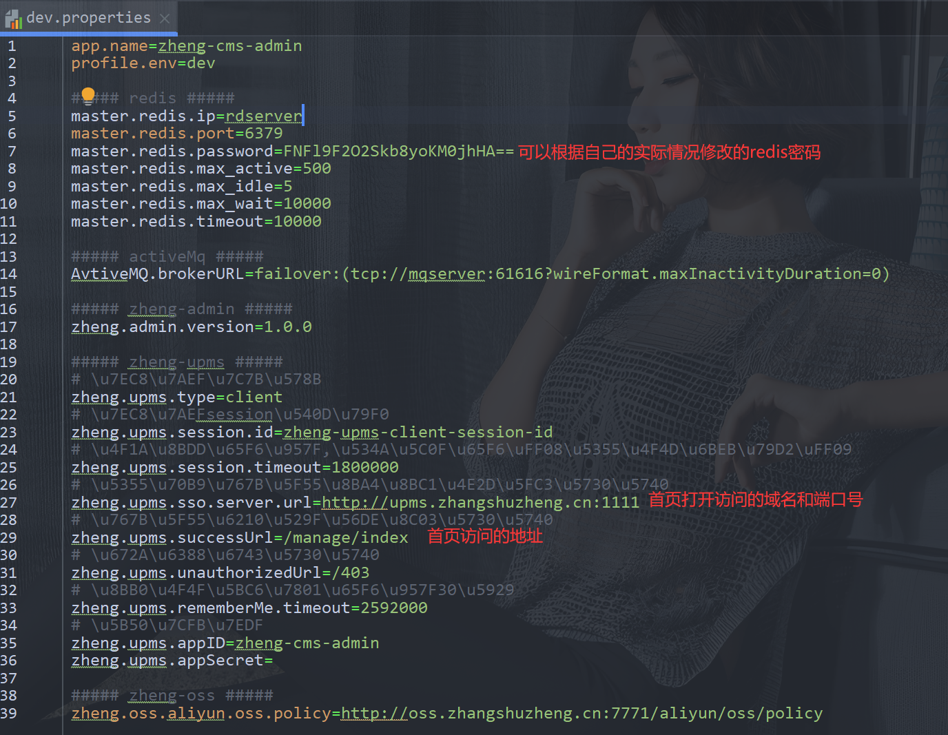 2022最新IntellJ IDEA的zheng开发部署文档