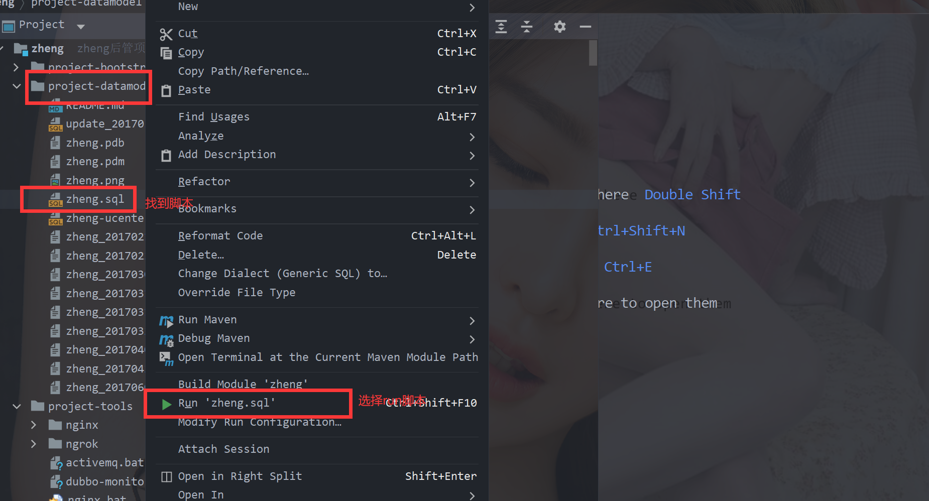 2022最新IntellJ IDEA的zheng开发部署文档