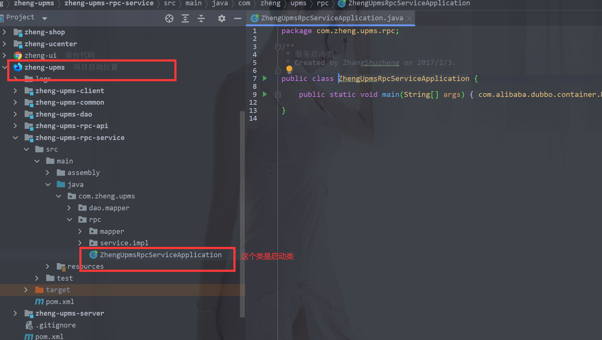 2022最新IntellJ IDEA的zheng开发部署文档