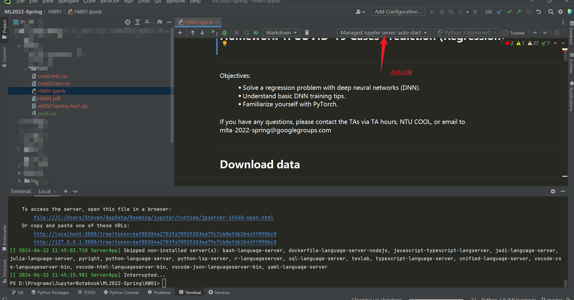pycharm中运行jupyter notebook