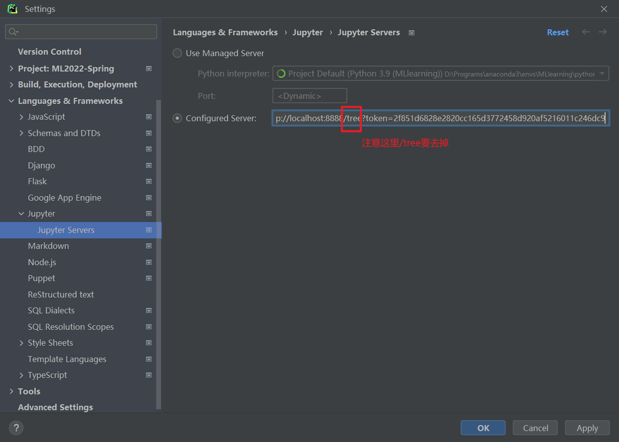 pycharm中运行jupyter notebook