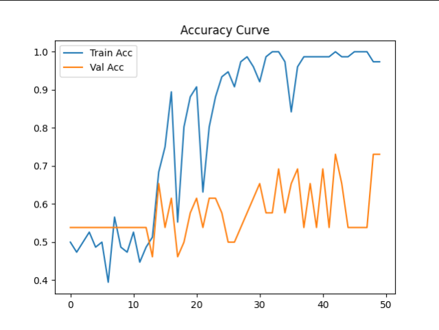 手把手教你实现PyTorch版ViT：图像分类任务中的Transformer实战